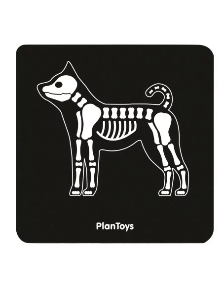PlanToys Veterinářský set