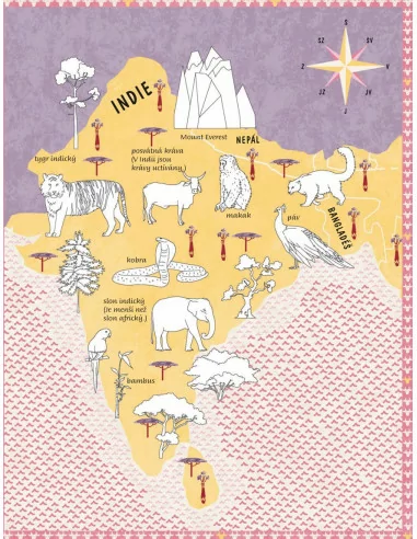 Vybarvovací atlas zvířat