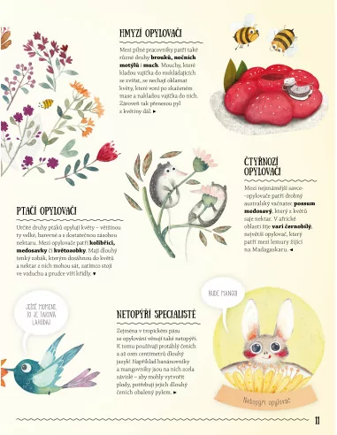 Nečekaná přátelství aneb jak si zvířata a...