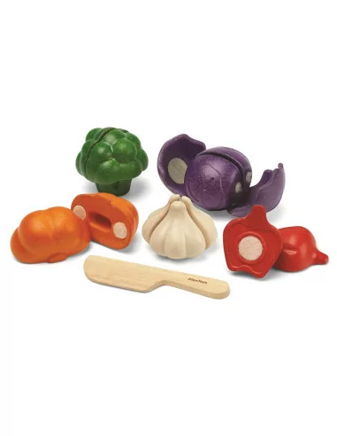 PlanToys Sada zeleniny - 5 barev