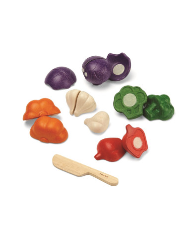 PlanToys Sada zeleniny - 5 barev