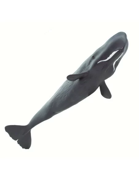 Safari Ltd. Figurka - Vorvaň obrovský