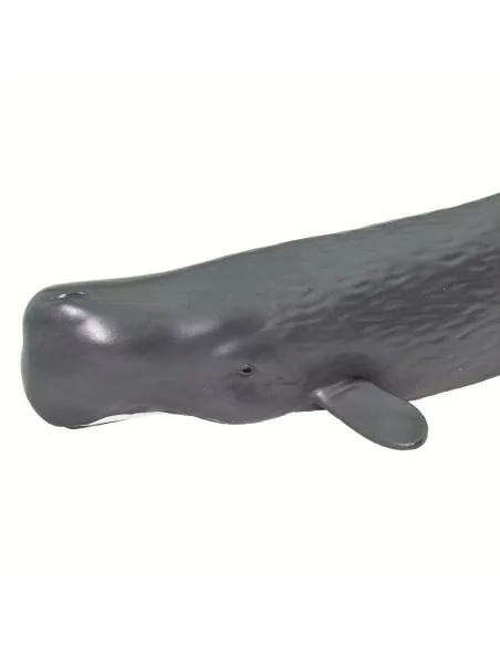 Safari Ltd. Figurka - Vorvaň obrovský