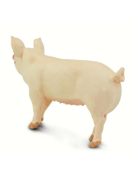 Safari Ltd. Figurka - Prase domácí