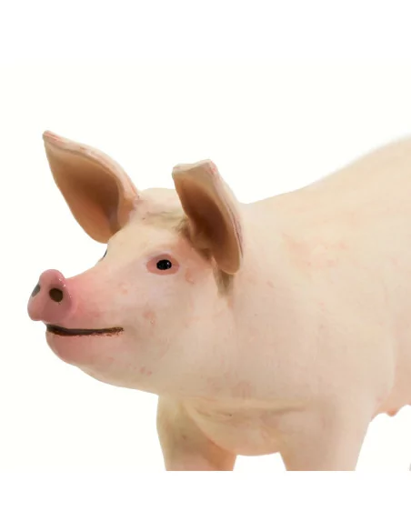 Safari Ltd. Figurka - Prase domácí