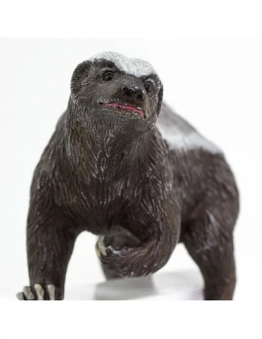 Safari Ltd. Figurka - Medojed kapský