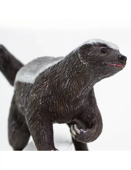 Safari Ltd. Figurka - Medojed kapský