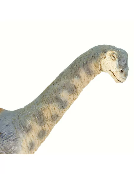 Safari Ltd. Figurka - Camarasaurus