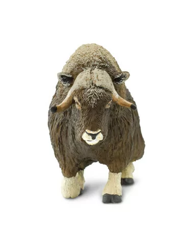 Safari Ltd. Pižmoň severní