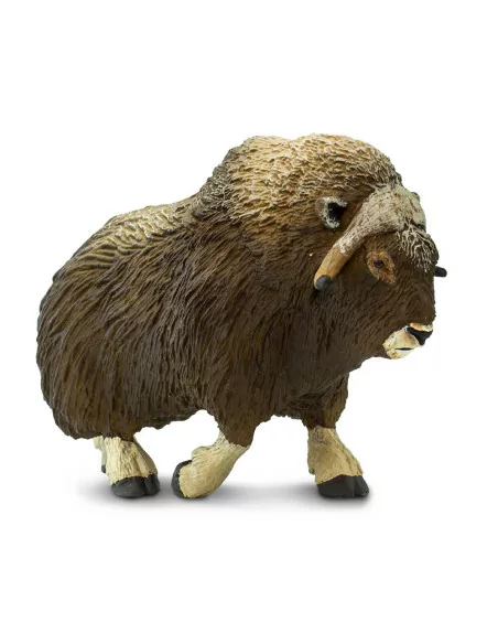 Safari Ltd. Pižmoň severní