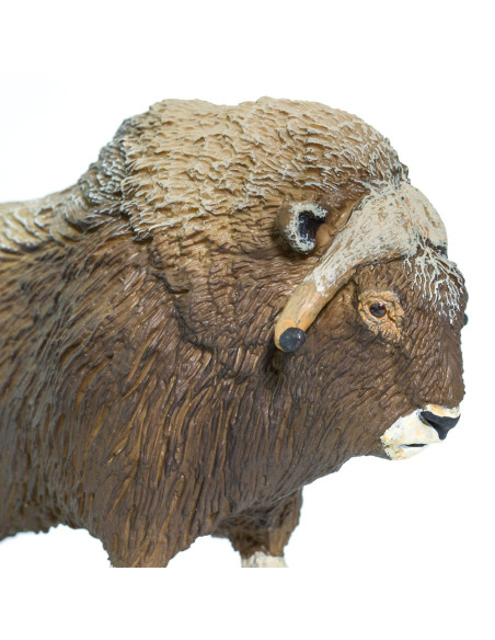 Safari Ltd. Pižmoň severní