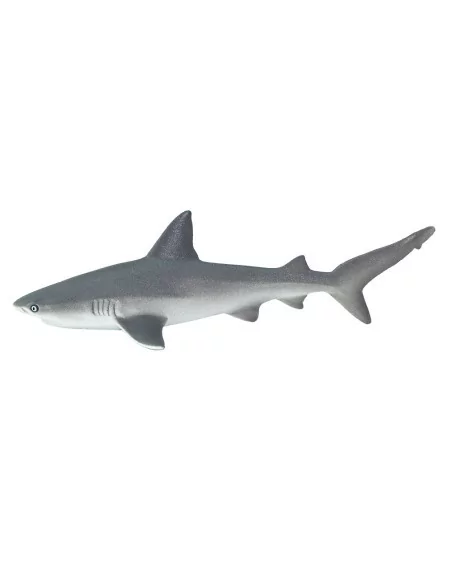 Safari Ltd. Žralok spanilý