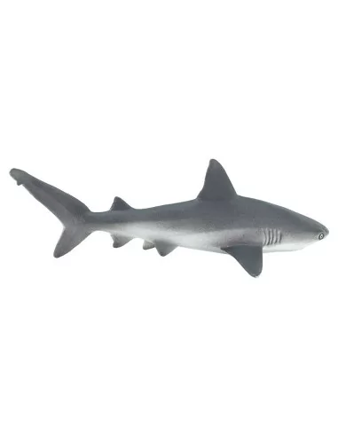 Safari Ltd. Žralok spanilý