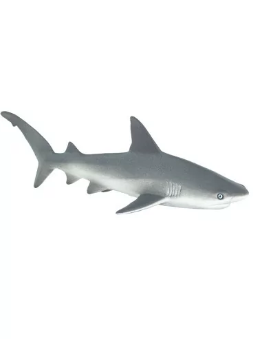 Safari Ltd. Žralok spanilý