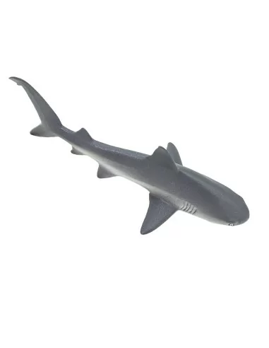 Safari Ltd. Žralok spanilý