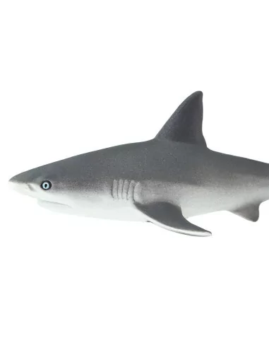 Safari Ltd. Žralok spanilý