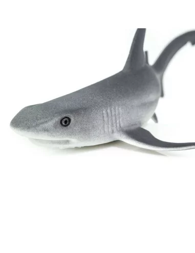 Safari Ltd. Žralok lagunový