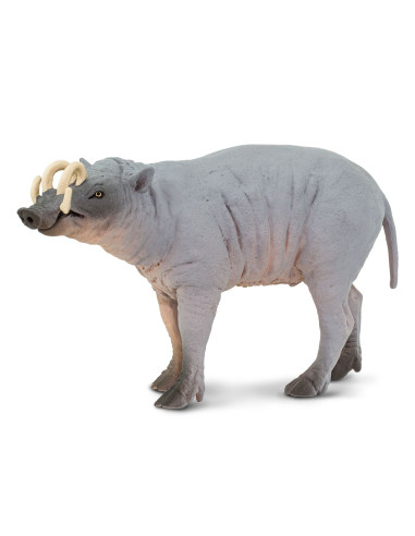 Safari Ltd. Babirusa