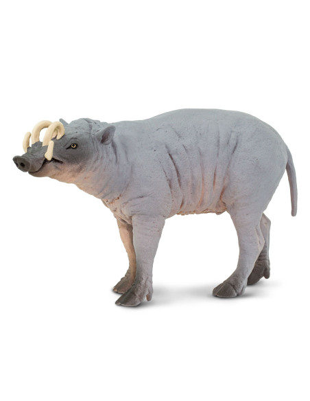 Safari Ltd. Babirusa