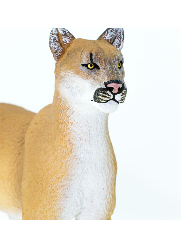 Safari Ltd. Figurka - Puma floridská