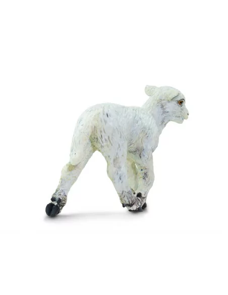 Safari Ltd. Ovce domácí