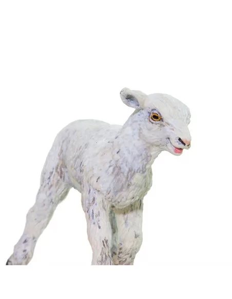 Safari Ltd. Ovce domácí