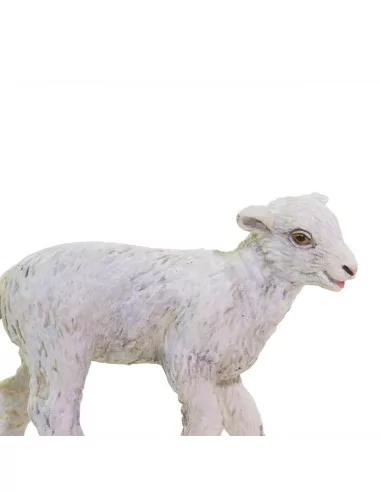 Safari Ltd. Ovce domácí