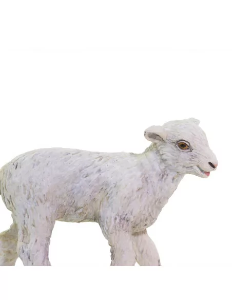 Safari Ltd. Ovce domácí