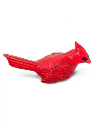 Safari Ltd. Kardinál červený