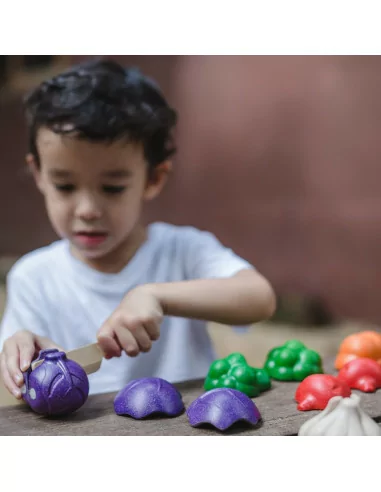 PlanToys Sada zeleniny - 5 barev