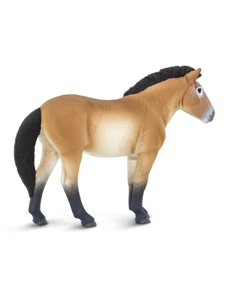 Safari Ltd. Figurka - Kůň převalského
