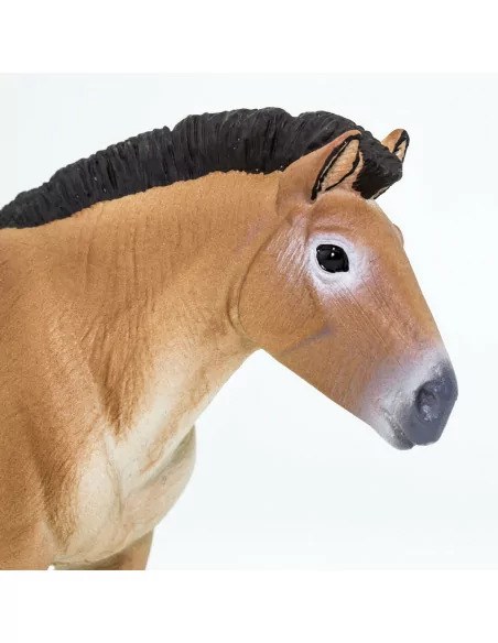 Safari Ltd. Figurka - Kůň převalského