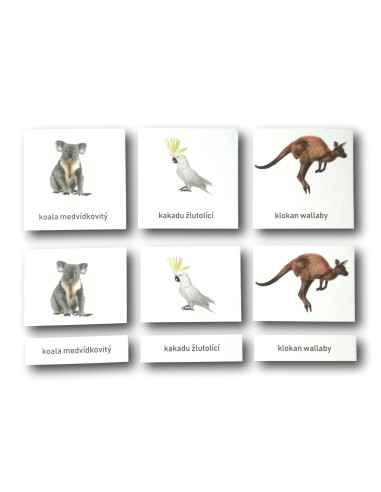 Třísložkové karty - Zvířata Austrálie (zalaminované)