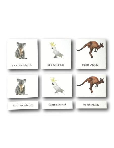 Třísložkové karty - Zvířata Austrálie (zalaminované)