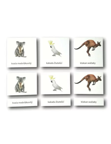 Třísložkové karty - Zvířata Austrálie (zalaminované)