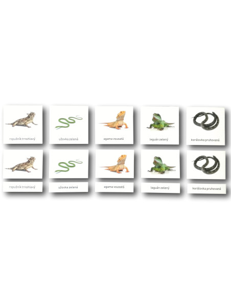 Třísložkové karty - Hadi a ještěři (zalaminované)