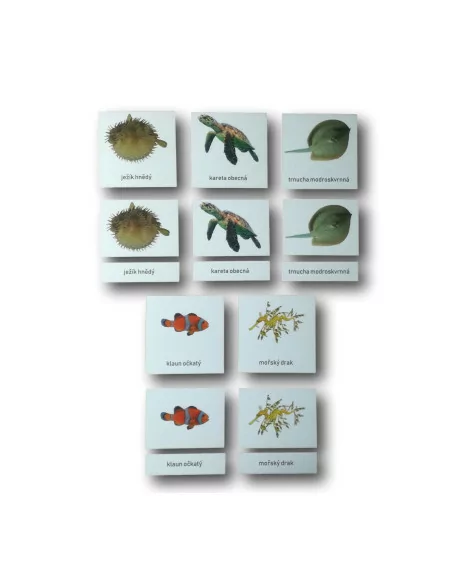 Třísložkové karty - Mořský útes (zalaminované)