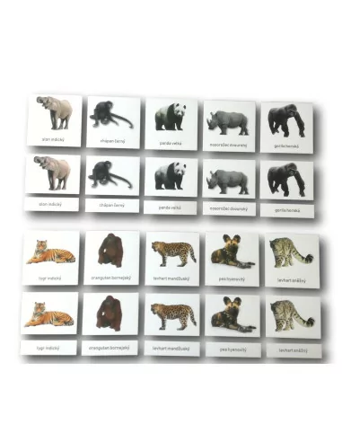 Třísložkové karty - Ohrožené druhy -...