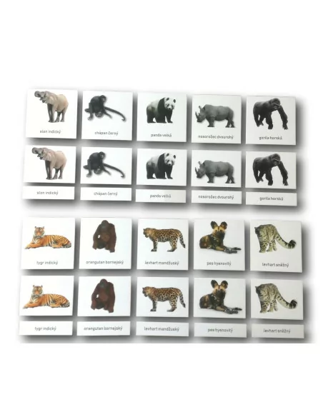 Třísložkové karty - Ohrožené druhy - suchozemské (zalaminované)