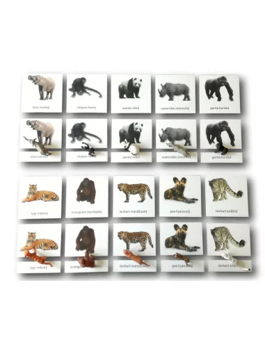 Třísložkové karty - Ohrožené druhy -...