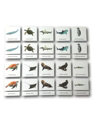 Třísložkové karty - Ohrožené druhy - mořské (ke...