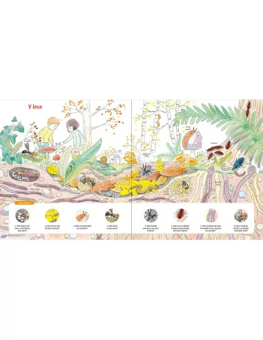 Hmyz a jiní bezobratlí