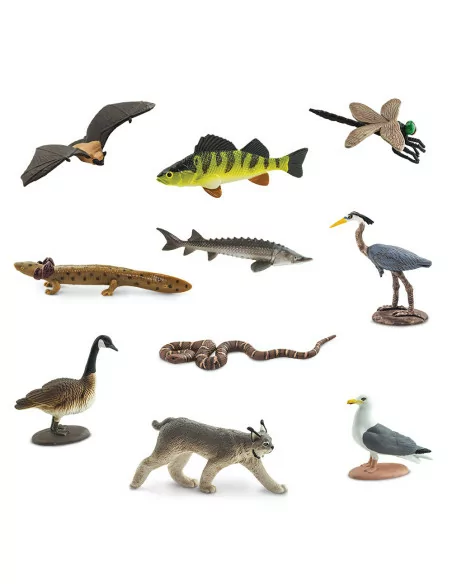 Safari Ltd. Tuba - Velká jezera