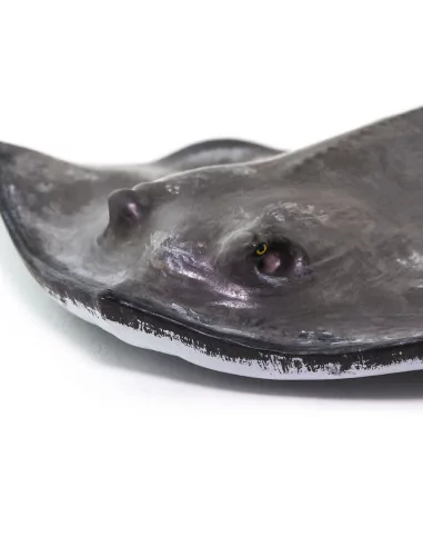 Safari Ltd. Figurka - Rejnok