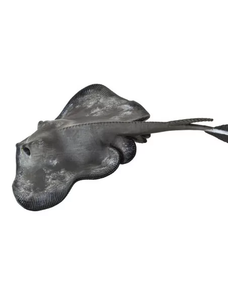 Safari Ltd. Figurka - Rejnok