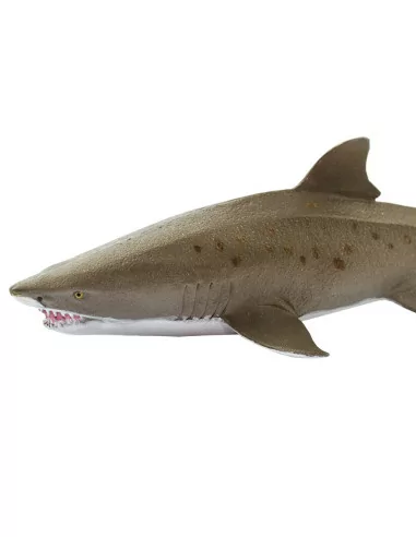 Safari Ltd. Figurka - Žralok písečný