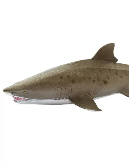 Safari Ltd. Figurka - Žralok písečný