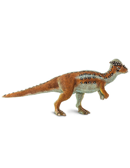 Safari Ltd. Figurka - Pachycephalosaurus