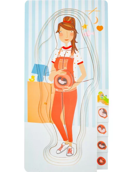 Small Foot Prenatální vývoj člověka