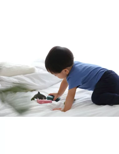 PlanToys Set - Mořská zvířata